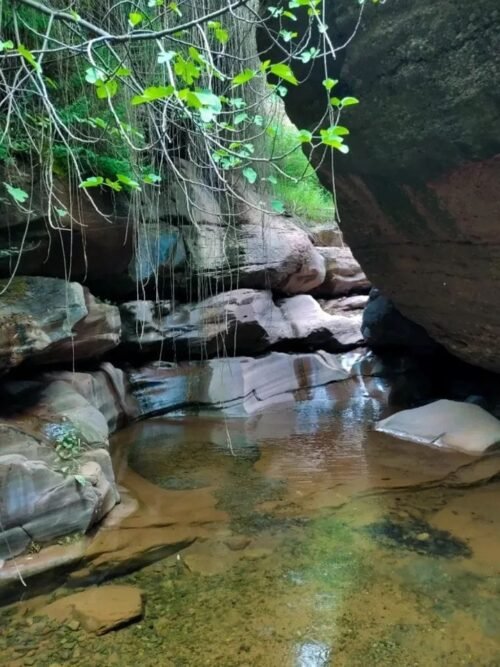 Short trips for relaxation and enjoying the nearby natural scenery.