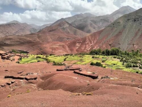 Visits to local shepherd villages to experience the daily life and traditions of the local people.