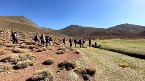 Long trips to explore the surrounding nature and nearby mountain peaks.